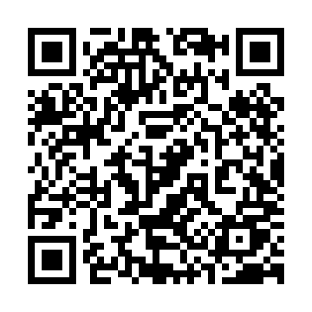 QR code for 336PMU