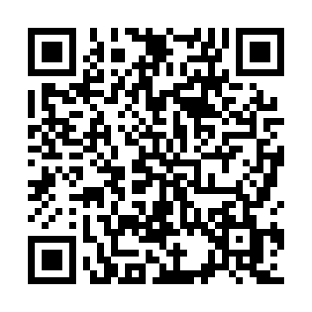 QR code for 3381VLP