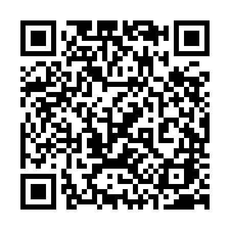 QR code for 338INA