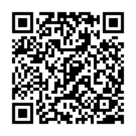 QR code for 338XYZ