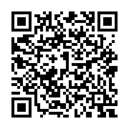 QR code for 3393YIU