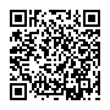 QR code for 3399DEU