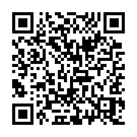 QR code for 339SYS