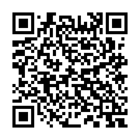 QR code for 3411BI