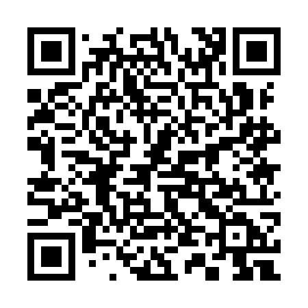 QR code for 3419OD