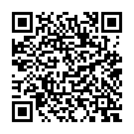 QR code for 3433DIE