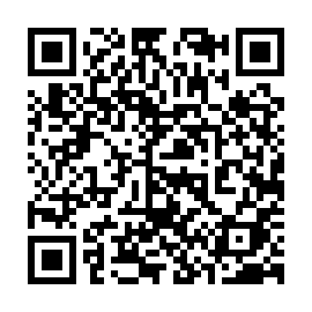 QR code for 3641PI