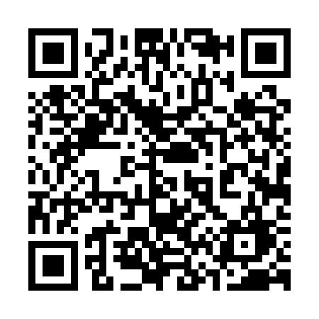 QR code for 3641SG
