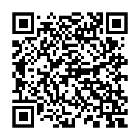 QR code for 369FLU
