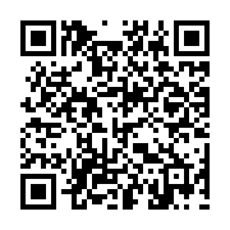 QR code for 370IVR