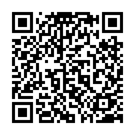 QR code for 3733AU
