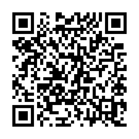 QR code for 375WYI