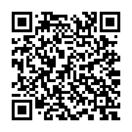 QR code for 376PDM