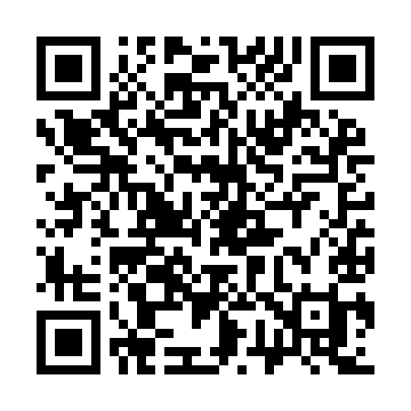 QR code for 376YII