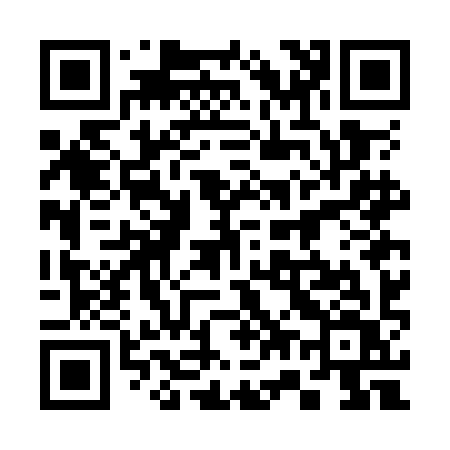 QR code for 377OIV