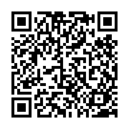 QR code for 378DAO