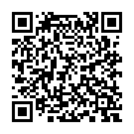 QR code for 379ALT