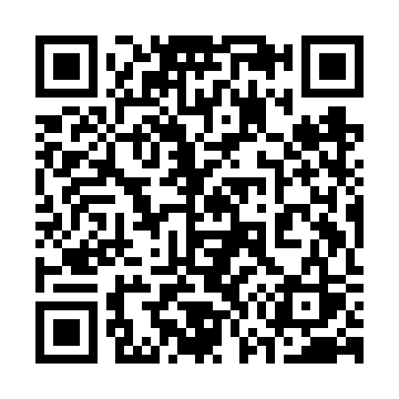 QR code for 379FSS