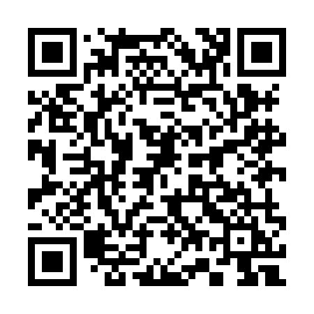 QR code for 379HMI