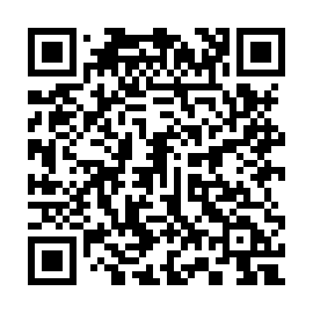 QR code for 379HUD