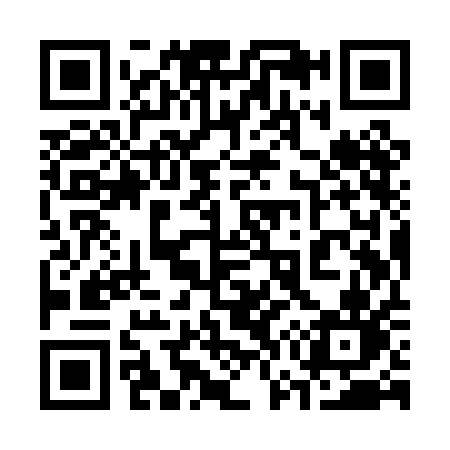 QR code for 379PAN
