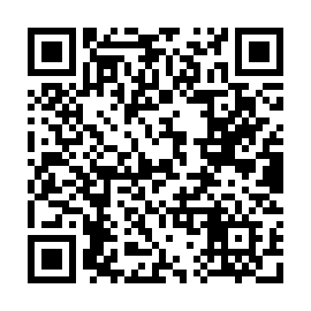 QR code for 379SSF