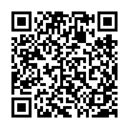 QR code for 379VHS
