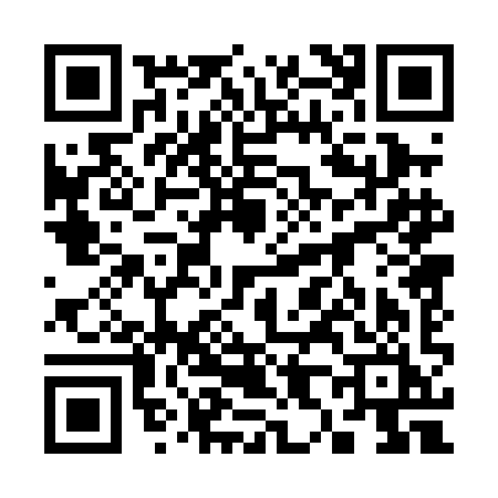 QR code for 3800IIO