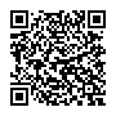 QR code for 3804DG