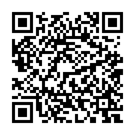 QR code for 3807DOT