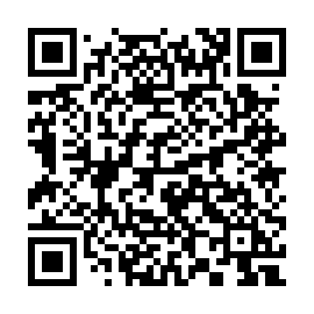 QR code for 3810PI