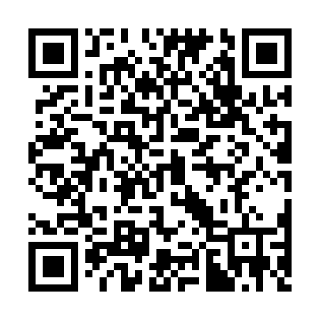 QR code for 3811FT