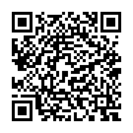 QR code for 3811UZV