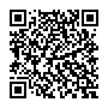 QR code for 3811XG
