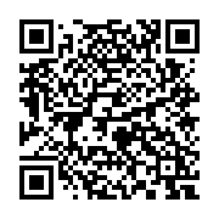 QR code for 3817PZ