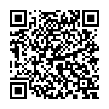 QR code for 3817SS