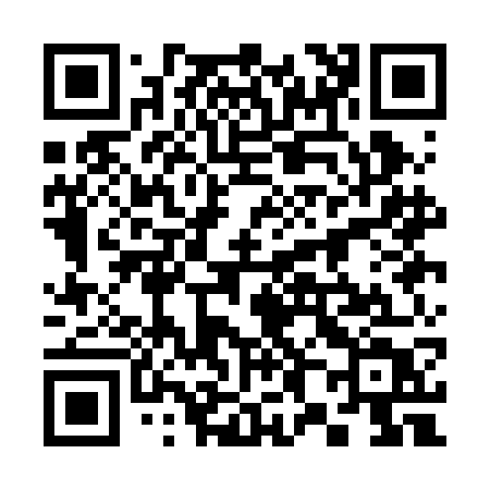 QR code for 381BGT