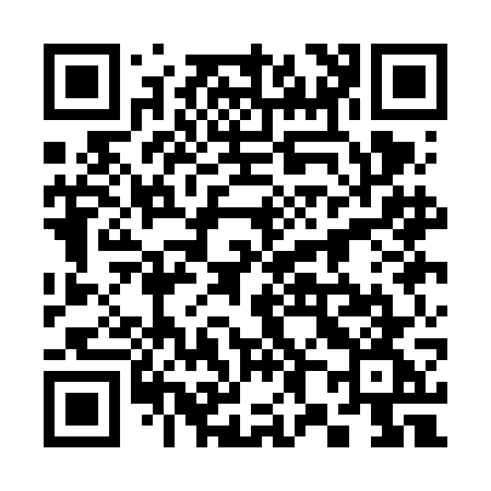 QR code for 381FGG