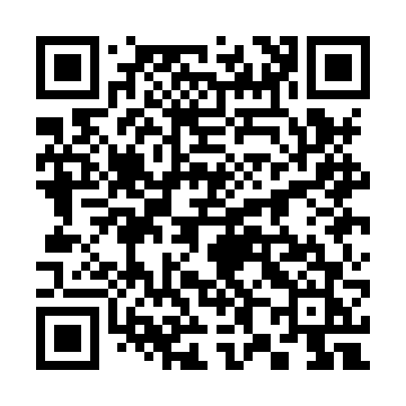 QR code for 381HVJ