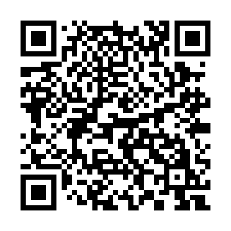 QR code for 381PAO