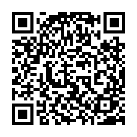 QR code for 381SNP