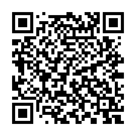 QR code for 381WYS