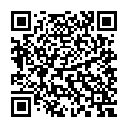 QR code for 3825HY
