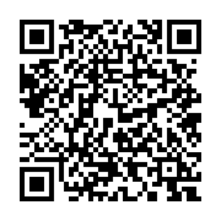 QR code for 3825RIK