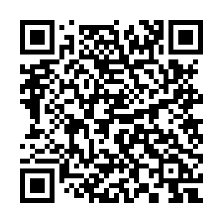 QR code for 3828PF