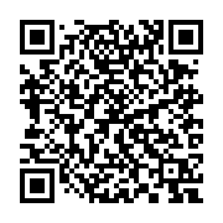 QR code for 382DKP