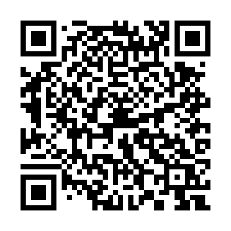 QR code for 382DZS