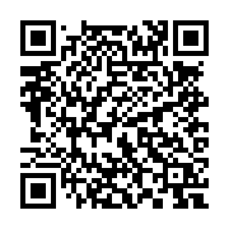 QR code for 382LZP