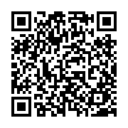 QR code for 382RON
