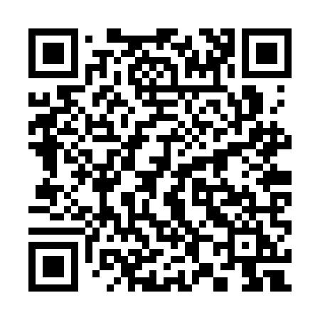 QR code for 382SMI